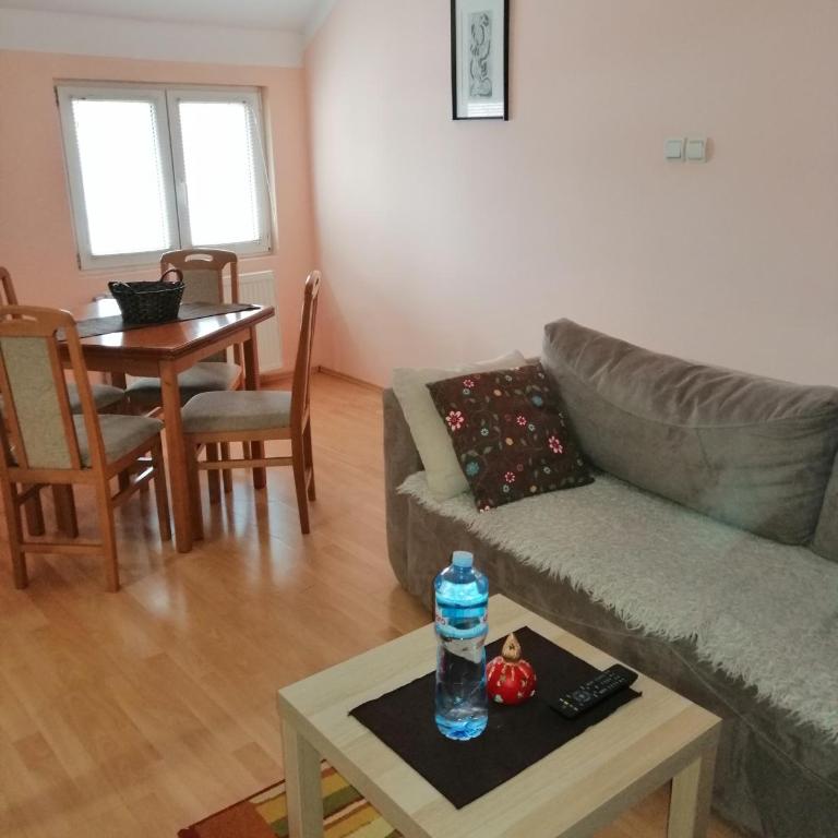 Apartment Matovic - Apartment - 1