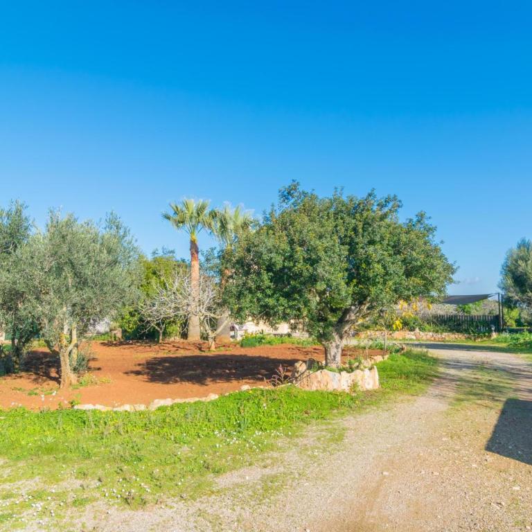 Sa Tanqueta De Ses Roques - Villa de 3 dormitorios - 30