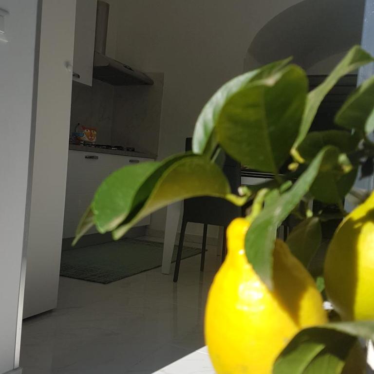 Scuto Home - Suite - 18