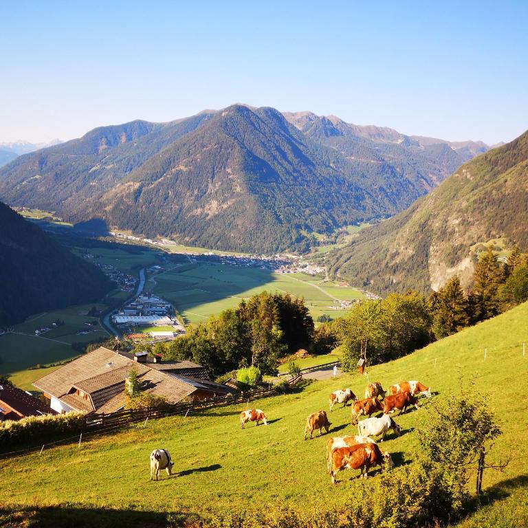 Aussermairhof - Appartamento con Vista Valle - 1