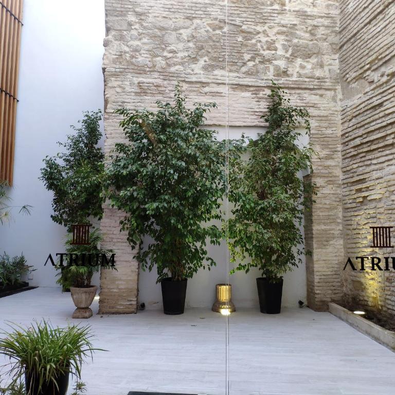 Apartamentos Córdoba Atrium - Standard Studio - 13