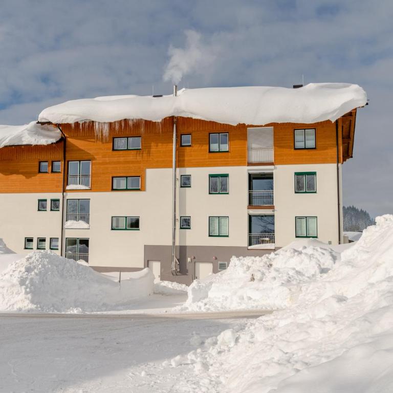 Appartements Ramsau am Dachstein by Schladmingurlaub - Apartment mit 2 Schlafzimmern und Sauna - 17