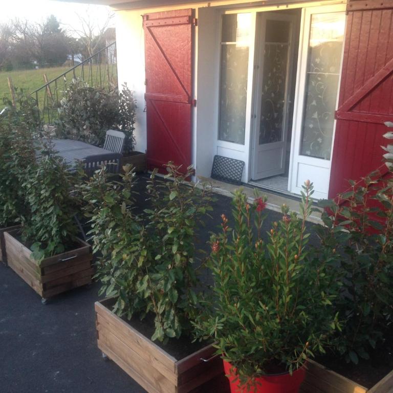 Petit nid douillet - Appartement - 1