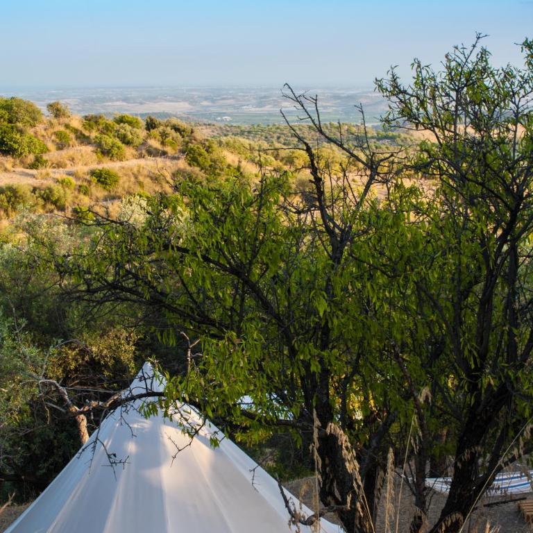 Shauri Glamping - Tenda - 9