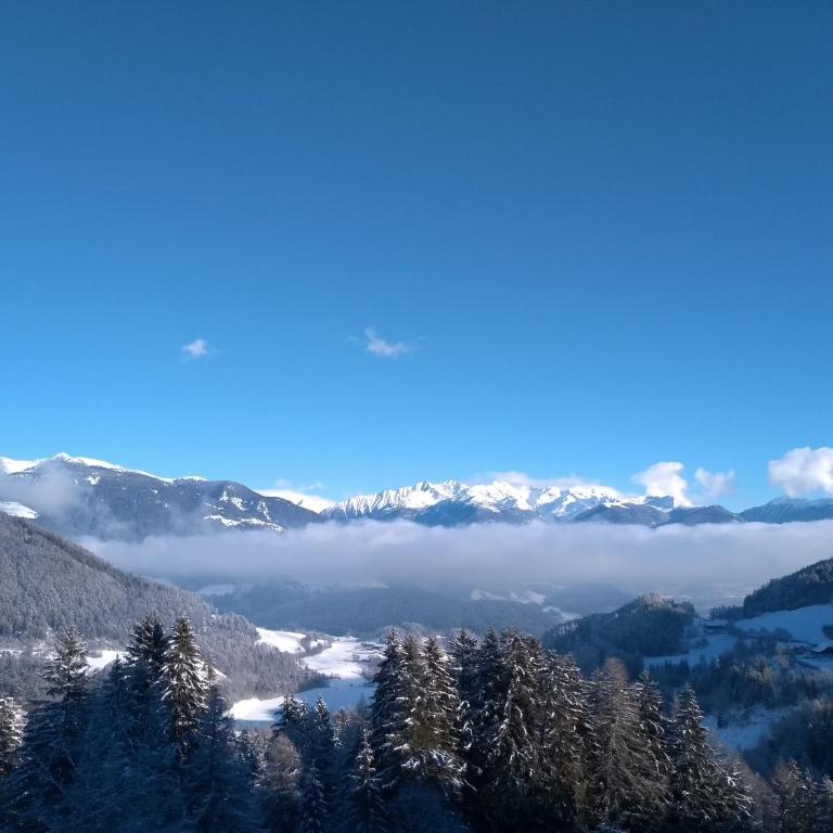 Natur Apartments Riesen - Appartamento con 1 Camera da Letto - 19