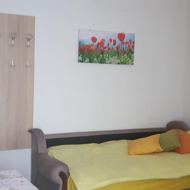 Apartments Popovic - Studio sa Balkonom - 4