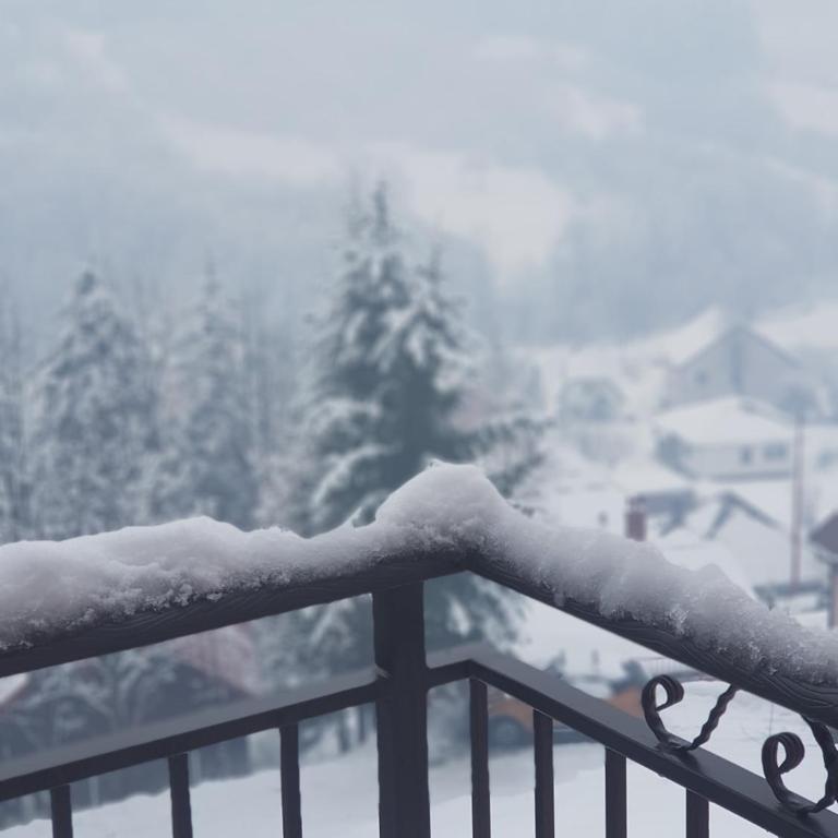 Apartments Popovic - Studio sa Balkonom - 3