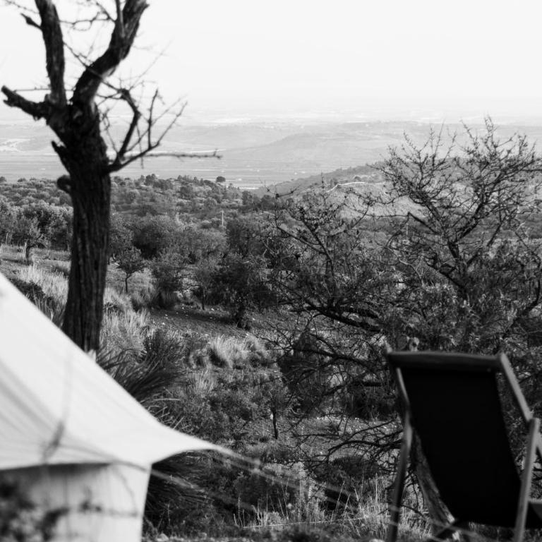 Shauri Glamping - Tenda - 4