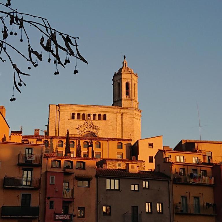 Bravissimo Sant Pau, cozy apartment in the centre - Apartamento de 2 dormitorios - 17