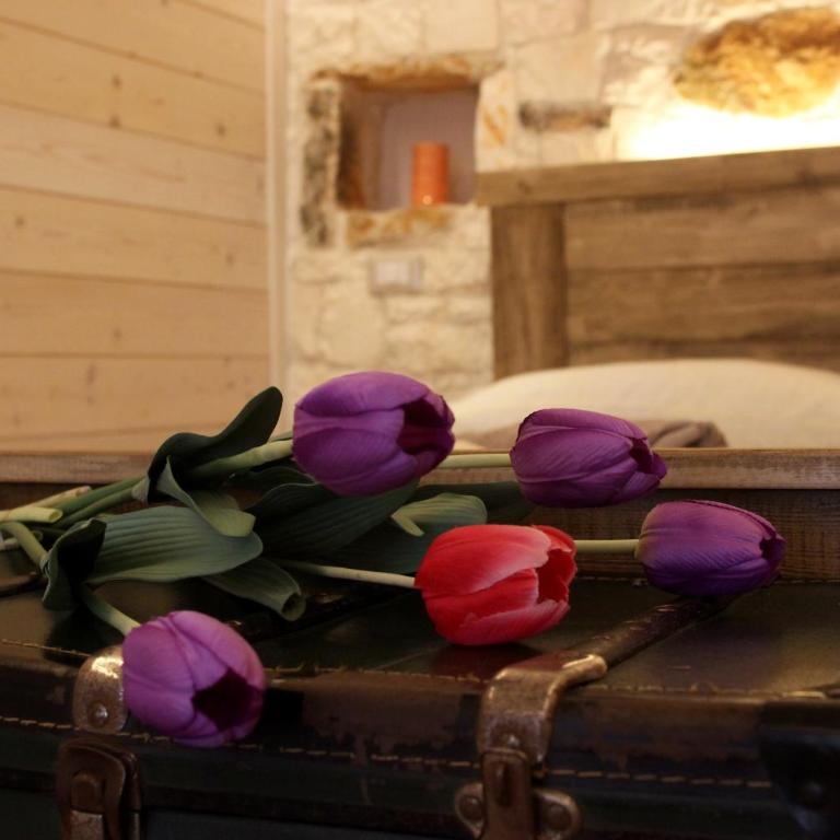 Trullo Madia e Dimora Giorgio - Casa Vacanze - 12