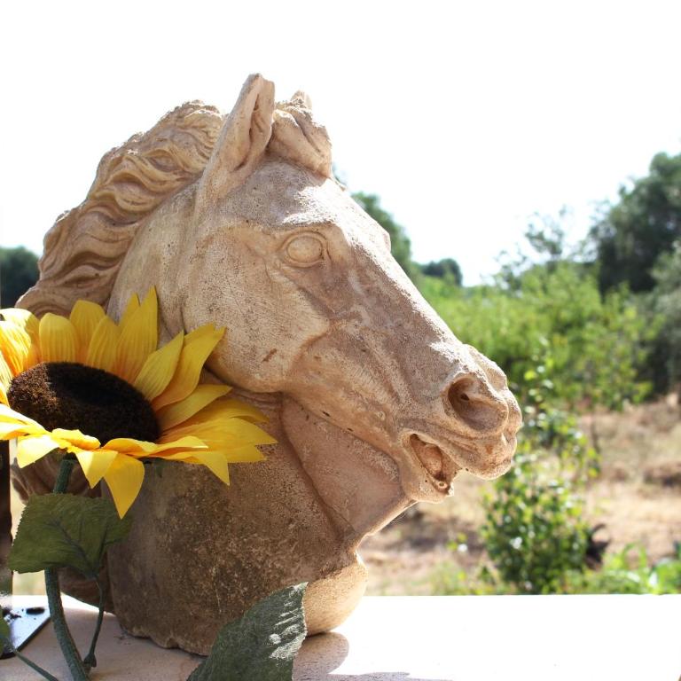Trullo Madia e Dimora Giorgio - Casa Vacanze - 25