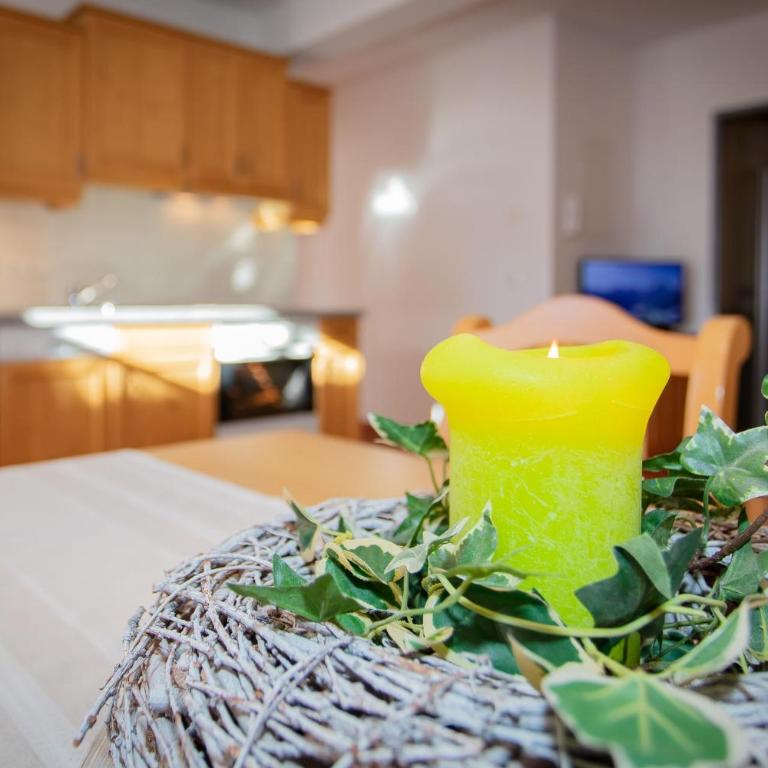 Bauernhof Schornlehen - Appartamento con 2 Camere da Letto - 12