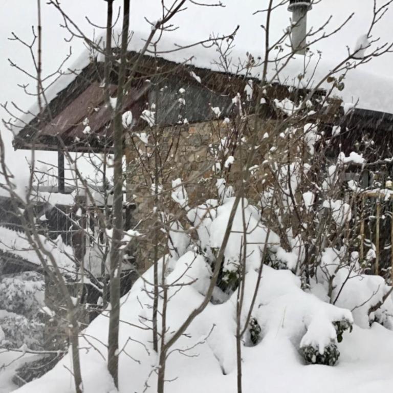 Chalet Patty&Co - Casa - 36