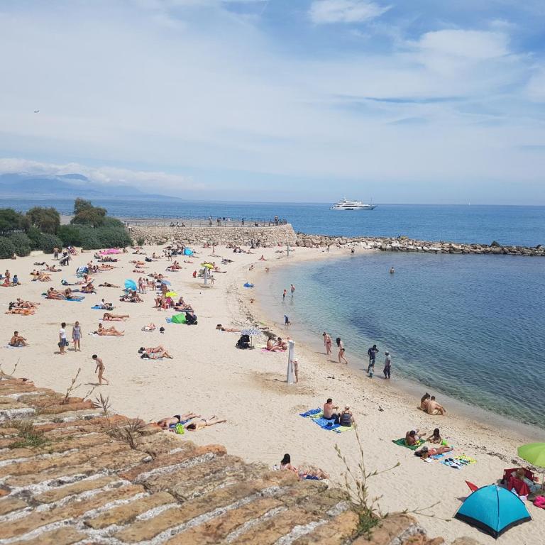 APPARTEMENT 2 PIECES COEUR VIEIL ANTIBES - Appartement 1 Chambre - 12