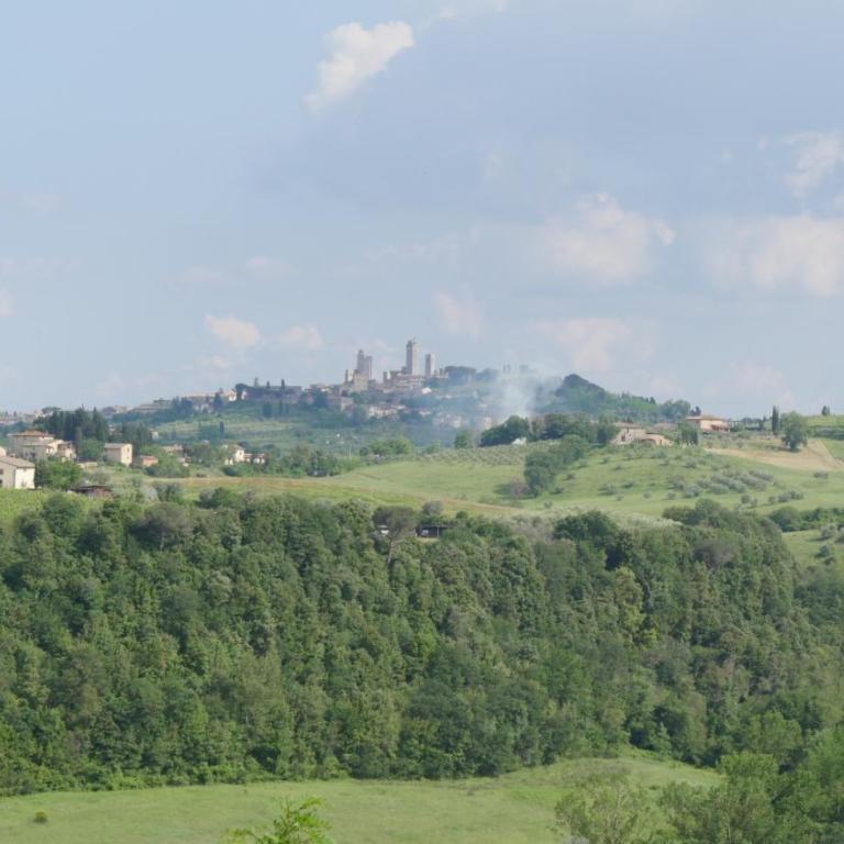 The Best View San Gimignano Apartments - Apartment - 3