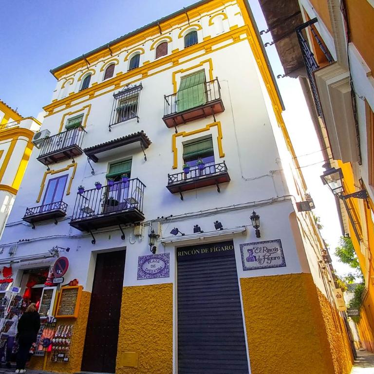 Apartamento Plaza de Doña Elvira 8 - Apartamento de 3 dormitorios - 24