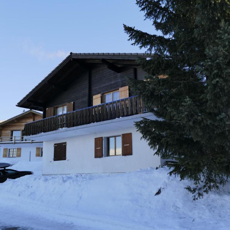 Chalet Bergmann - Haus mit 3 Schlafzimmern - 5
