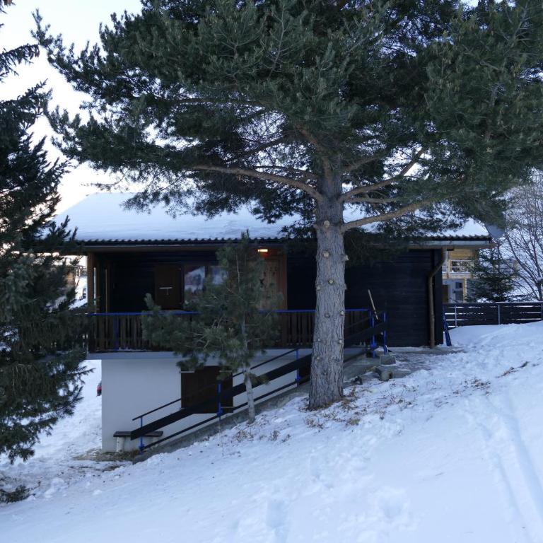 Chalet Bergmann - Haus mit 3 Schlafzimmern - 6