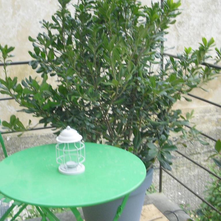 Lou mas li Pitchoun "Le cortassien " - Apartamento de 1 dormitorio - 5