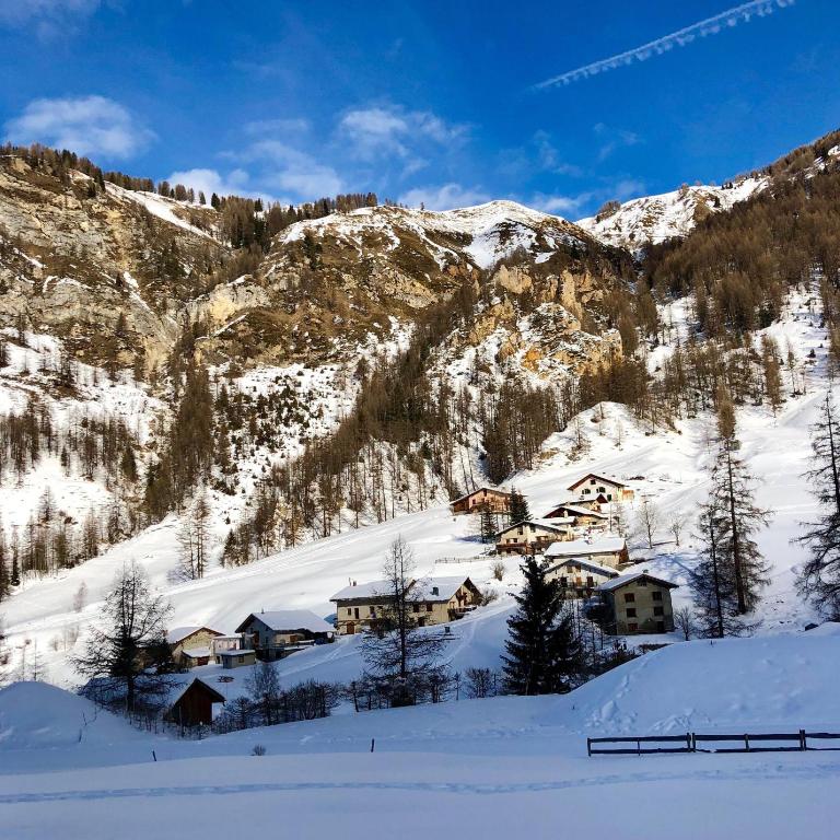 Le Falyoucher - Appartement - 25