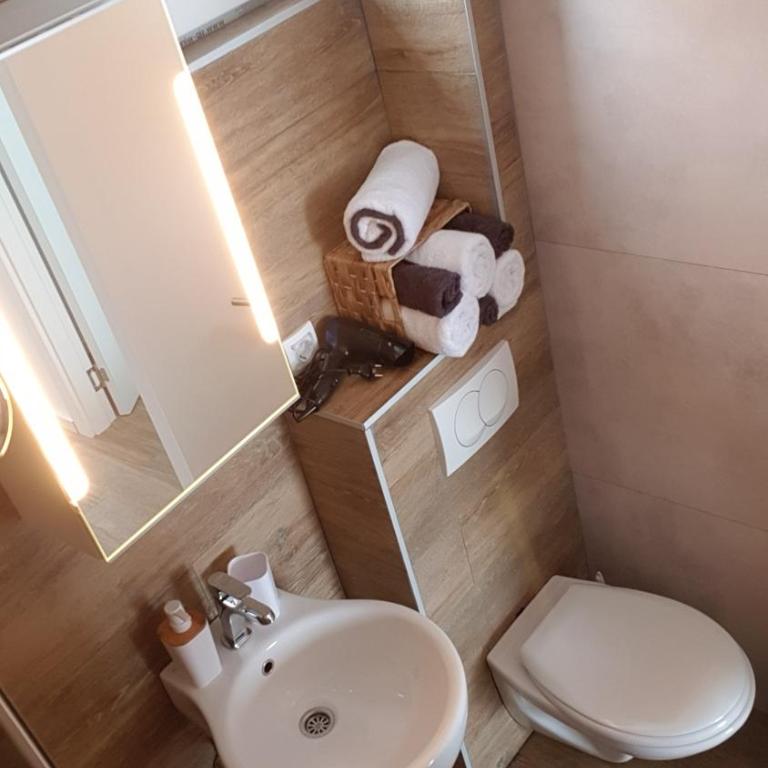 Apartman Jovanovic Kopaonik - One-Bedroom Apartment - 12