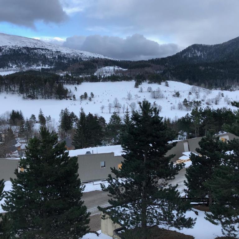 Le ZEN au pied du Grand Veymont en été en hiver - Appartement avec Balcon - 29