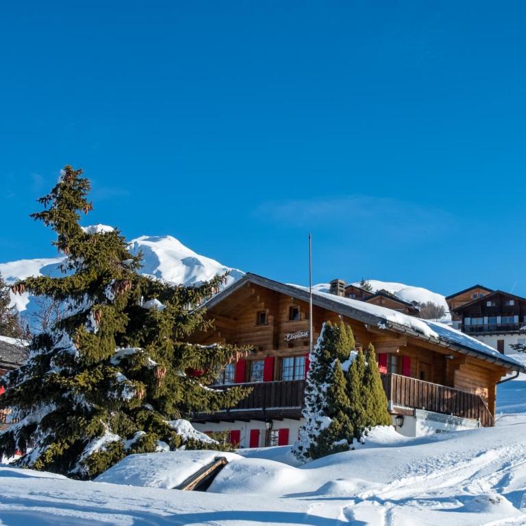 Chalet Elisabeth - Apartment mit Blick auf die Berge - 12