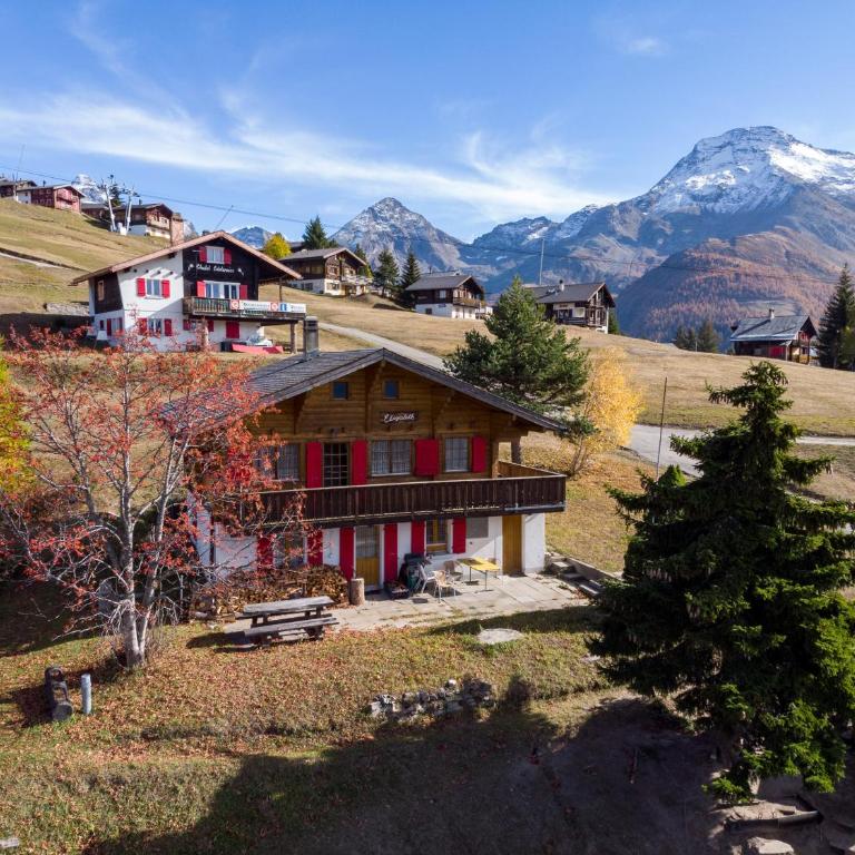 Chalet Elisabeth - Apartment mit Blick auf die Berge - 11