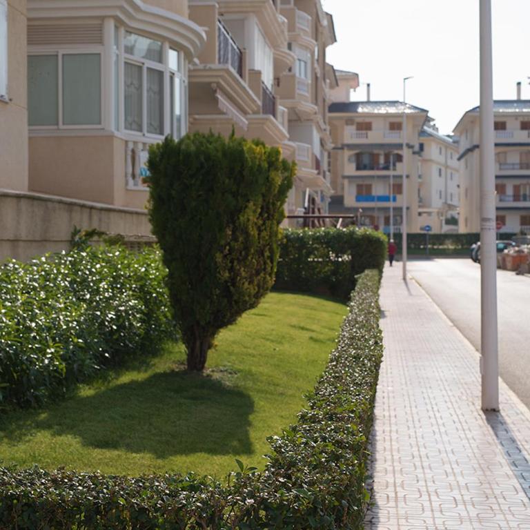 Apartment Sunny La Mata (VIÑAMAR VII) - Apartamento Estudio - 17
