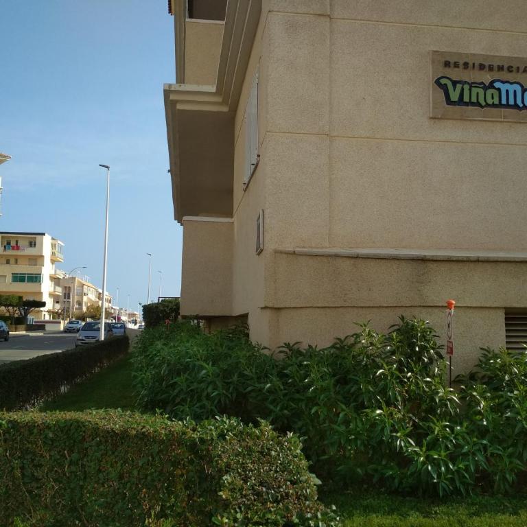 Apartment Sunny La Mata (VIÑAMAR VII) - Apartamento Estudio - 26