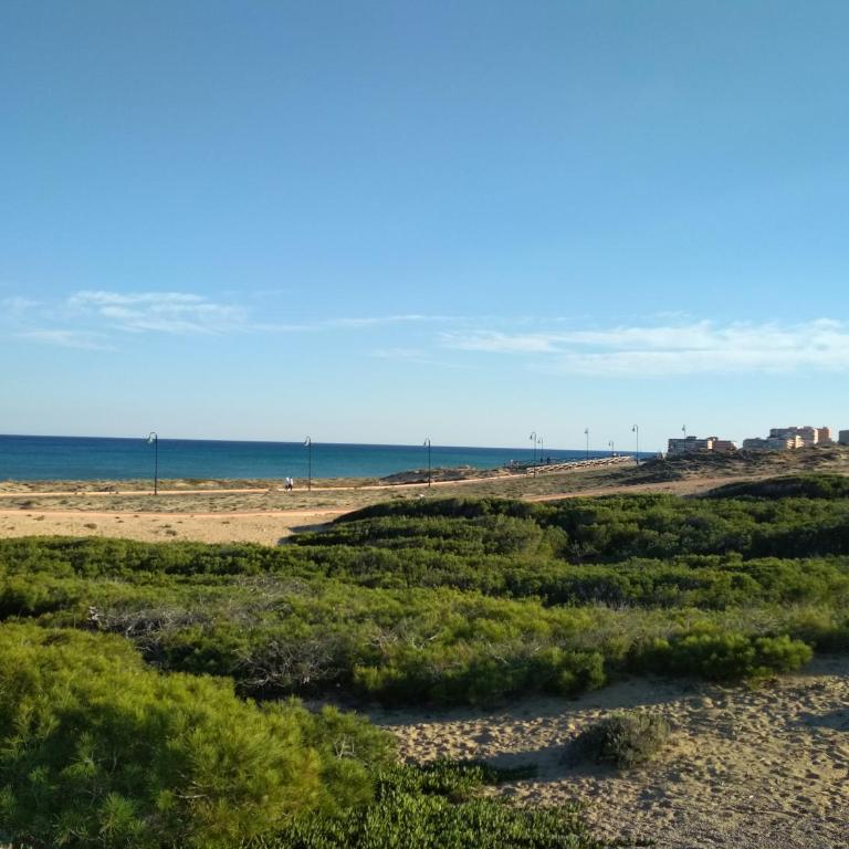 Apartment Sunny La Mata (VIÑAMAR VII) - Apartamento Estudio - 30