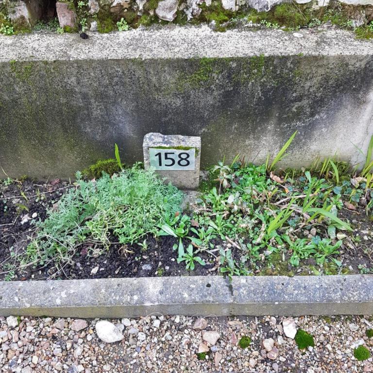 La Fleur d Honfleur avec son parking - Appartement - 26