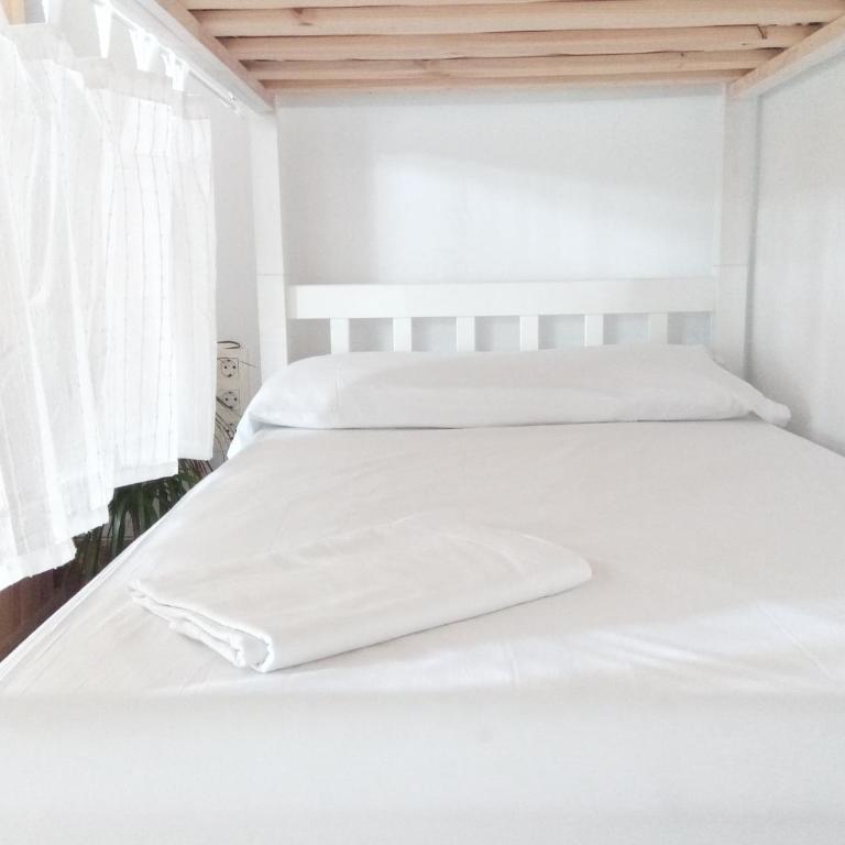 Lion Hostel by Kitesurf Tarifa - Cama individual en habitación compartida - 1