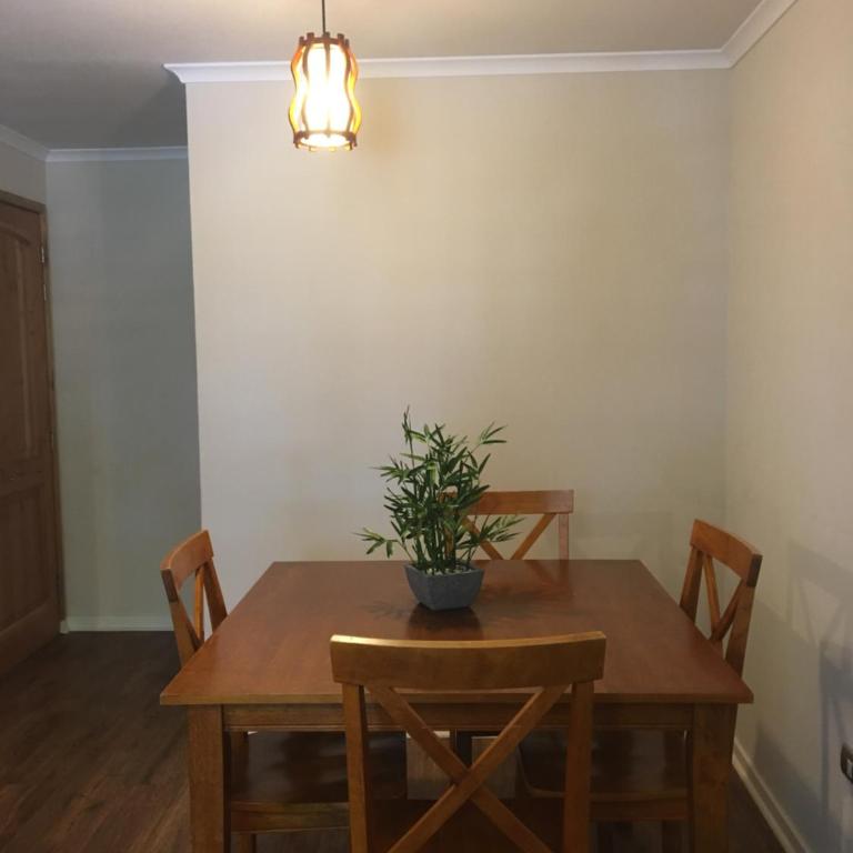Parque del Volcan Pucon - Apartamento - 31