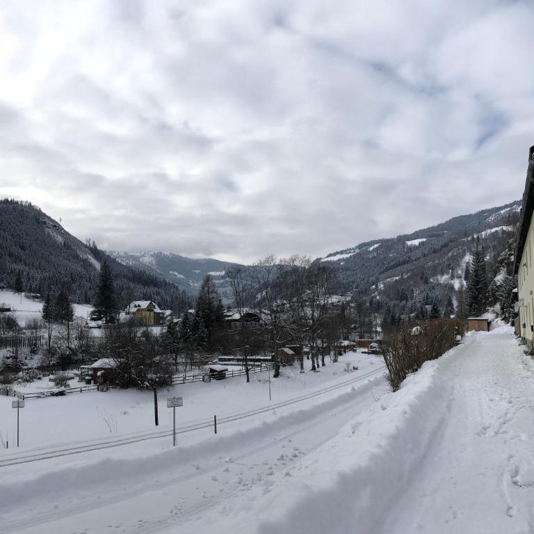Riverside Ski Apartment - Apartment - 18