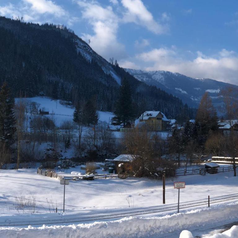 Riverside Ski Apartment - Apartment - 19