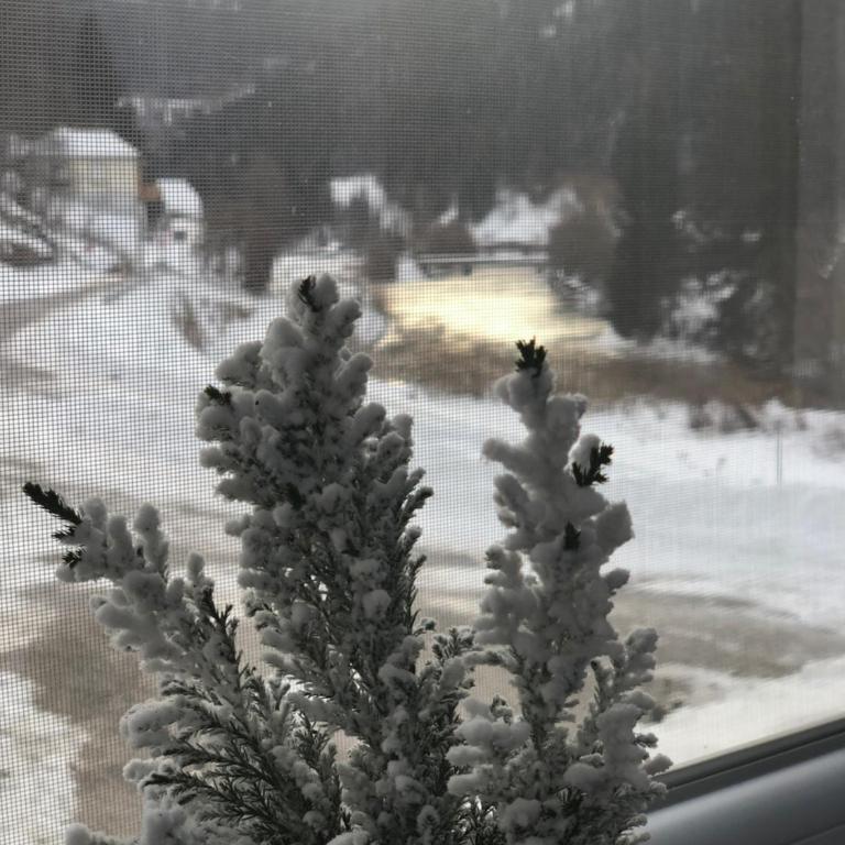 Riverside Ski Apartment - Apartment - 15
