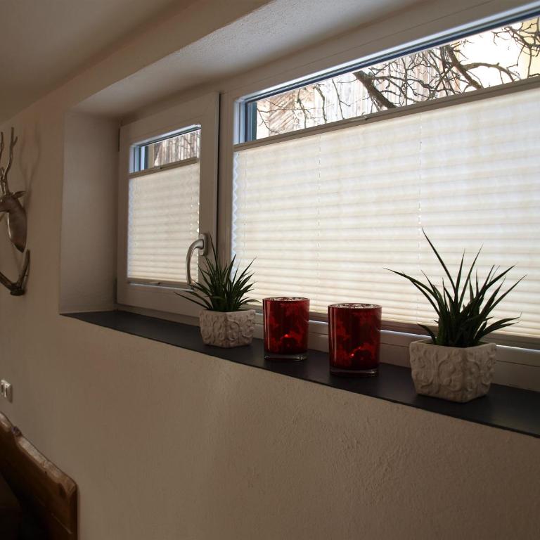 Ferienwohnung Alpenblick - Appartement - Rez-de-Chaussée - 16