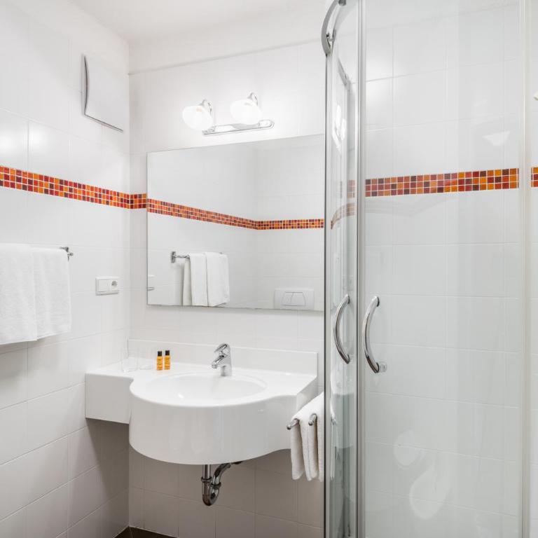 Apartments Mühlegg - One-Bedroom Apartment with Balcony - 10