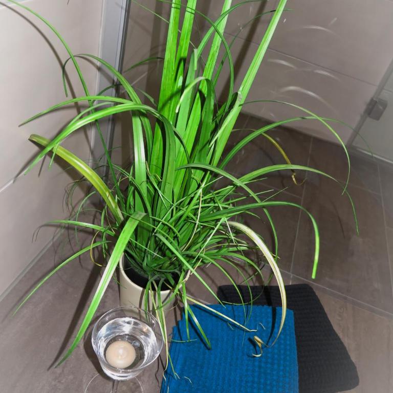 Ferienhaus Fidelis - Apartment - Erdgeschoss - 8