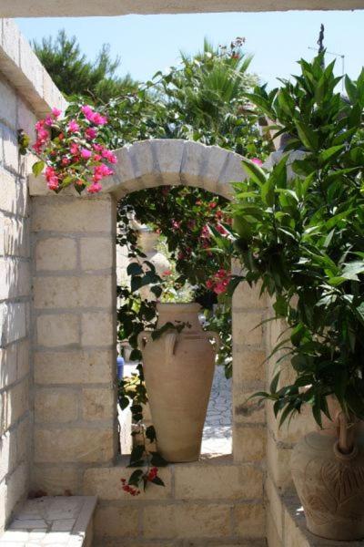 Villa Tiarè - Apartment - Ground Floor - 3