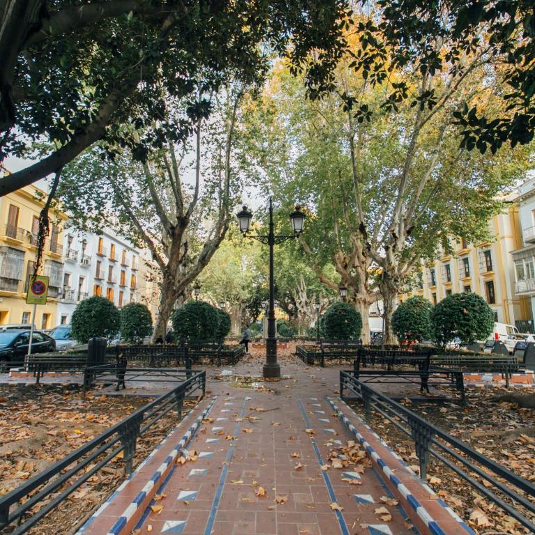 Buen Suceso Las Setas con Parking - Apartamento Dúplex - 5