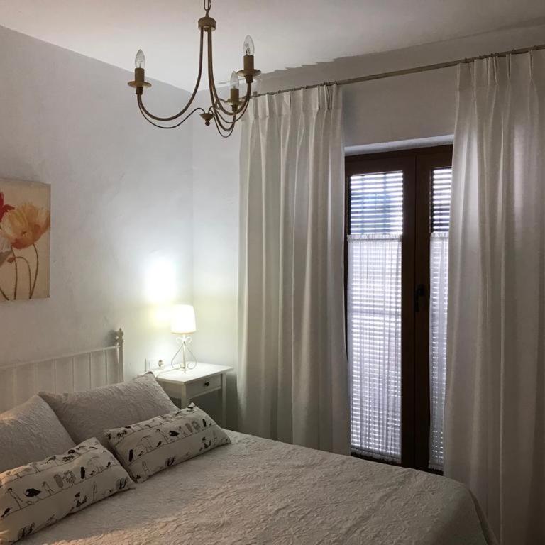 Casa Calle Alta Maria Bajo - Apartamento - Planta baja - 1