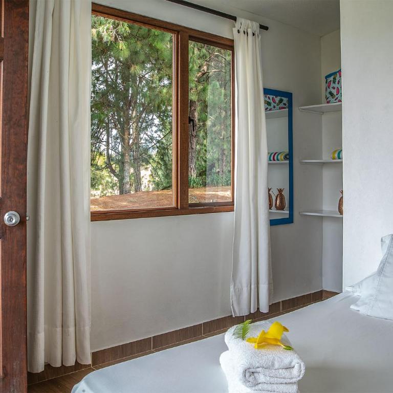 El Trebol - Deluxe Double Room - 3