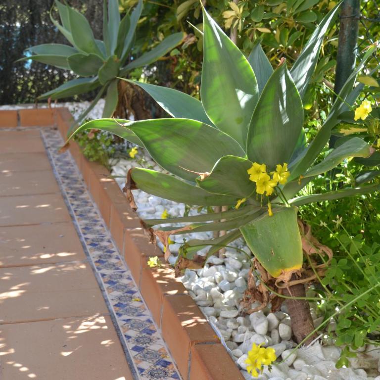 Primera línea playa - Apartment - 31