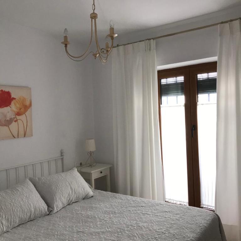 Casa Calle Alta Maria Bajo - Apartamento - Planta baja - 2