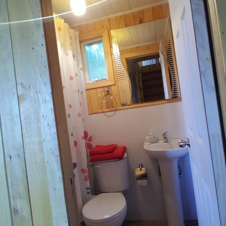 Cabañas Emma Maicolpue - Two-Bedroom House - 12