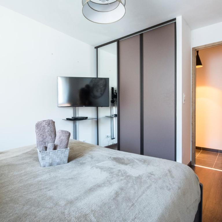 T4 8 personnes de grand standing classé 4 étoiles en plein centre de Saint Lary Soulan - Apartment mit 3 Schlafzimmern - 13