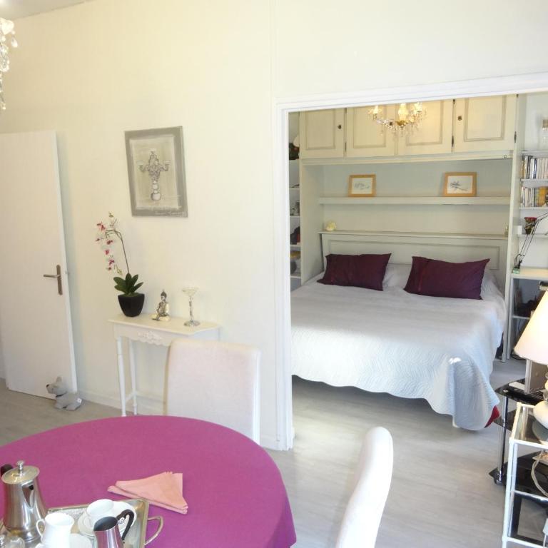 LES GRANDS CEDRES C1 7 Avenue de Fabron - Appartement - Vue sur Jardin - 12