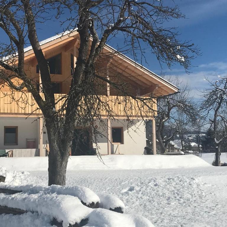 Alpenlodge Kirchbach - Apartment mit Blick auf die Berge - 27